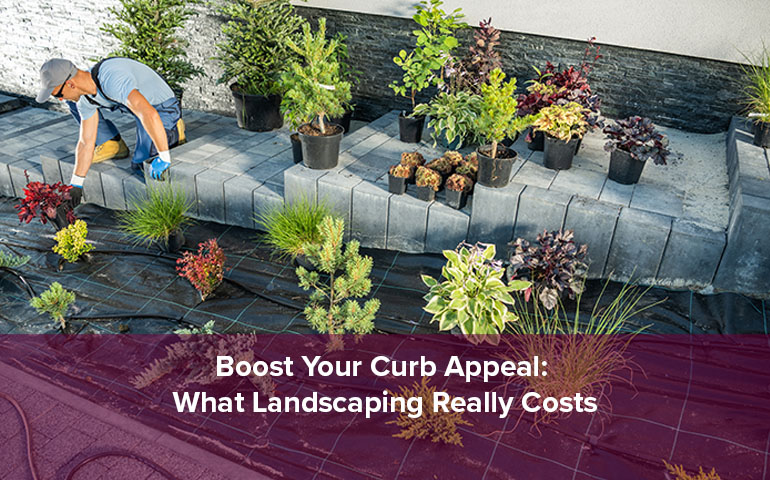 Boost Your Curb Appeal: What Landscaping Really Costs